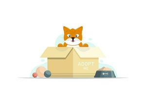 Cartoon cat with paper box, Adopt a stray cat please, Vector illustration.