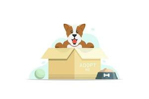 Cartoon dog with paper box, Adopt a stray dog please, Vector illustration.