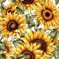 Seamless pattern with sunflowers. Watercolor illustration photo