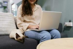 woman working from home with cat. cat asleep on the laptop keyboard. assistant cat working at Laptop photo