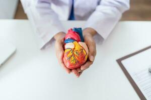 Doctor with anatomical model of human heart Cardiologist supports the heart. heart diagnose medical checkup cardiologist in examination room photo