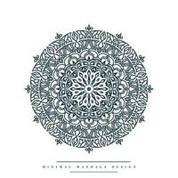 Minimal mandala coloring page with nature-inspired elements vector