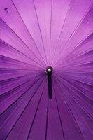 Japanese umbrella with sakura pattern. When getting wet, patterns will appear. photo