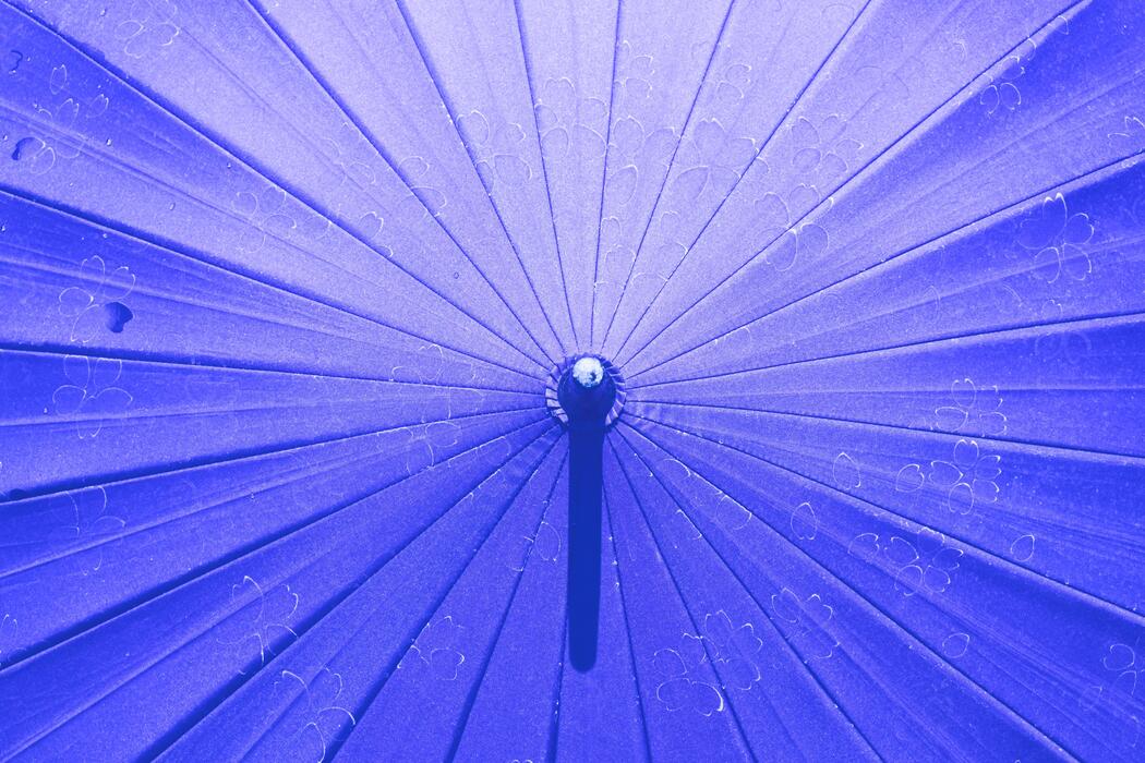 Japanese Umbrella Stock Photos, Images and Backgrounds for Free Download