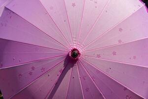 Japanese umbrella with sakura pattern. When getting wet, patterns will appear. photo