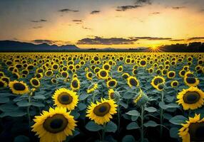 Afternoon sunflower garden AI Generative background scenery photo