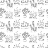 Sea seamless pattern with cute hand drawn seaweed in black and white version. vector