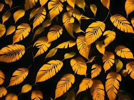 tropical yellow and orange color leaves in black background, AI generation. photo