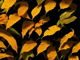tropical yellow and orange color leaves in black background, AI generation. photo