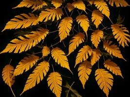 tropical yellow and orange color leaves in black background, AI generation. photo