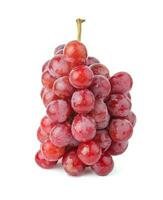 Red grape isolated on white background With clipping path. photo