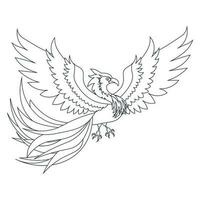 Phoenix. The magic bird. outline vector