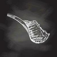 Hand drawn vector sketch of beef steak, piece of meat on the bone. Doodle vintage illustration isolated on chalkboard background. Decorations for the menu of cafes and labels. Engraved immage.