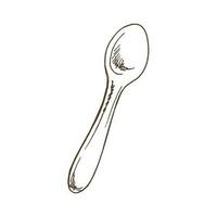 Hand drawn vector sketch of a spoon. Doodle vintage illustration. Engraved immage.