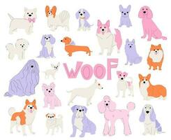 Dogs of different breeds isolated on white background set. Vector abstract multicolored pets illustration.