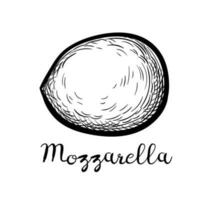 Mozzarella cheese. Ink sketch isolated on white background. Hand drawn vector illustration. Vintage style stroke drawing.