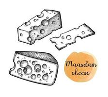 Maasdam cheese. Blocks and slice. Ink sketch isolated on white background. Hand drawn vector illustration. Vintage style stroke drawing.