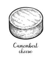 Camembert cheese. Ink sketch isolated on white background. Hand drawn vector illustration. Vintage style stroke drawing.