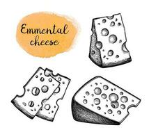 Emmental cheese. Slices and blocks. Ink sketch isolated on white background. Hand drawn vector illustration. Vintage style stroke drawing.