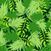 Leaves of palm tree. Seamless pattern. Vector background.