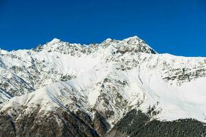 Beautiful sceneric view of Caucasus mountain. The way to mountain with pine forest covered with snow in winter season at Mestia Georgia photo