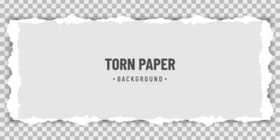 Horizontal torn white paper with soft shadow vector