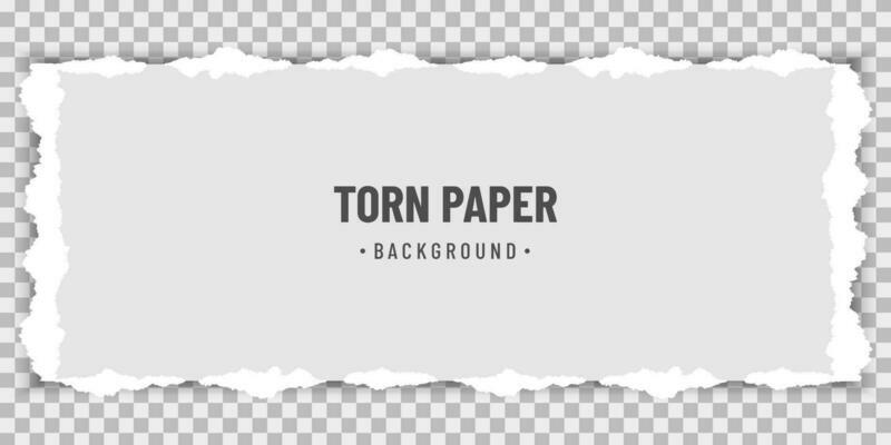 Horizontal torn white paper with soft shadow