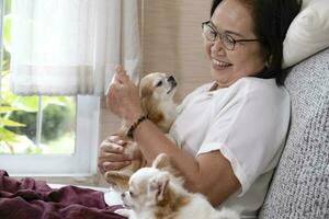 Happy senior woman with her dogs on couch inside of her house. photo