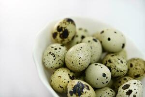 Quail eggs in a white plate. Food eggs on a white background. photo