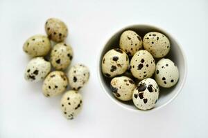 Quail eggs in a white plate. Food eggs on a white background. photo