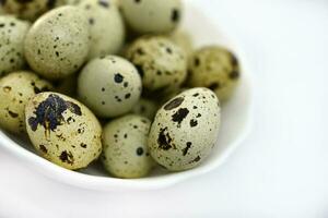 Quail eggs in a white plate. Food eggs on a white background. photo