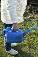 Watering plants in the garden with a watering can with water. Watering plants by a pensioner in the garden. photo