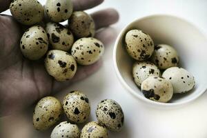 Quail eggs in hand. Food eggs on a white background. photo