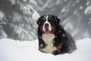 Portrait of a cute bernese mountain dog created with generative AI technology. photo