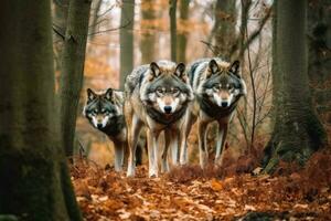 Wild wolves in a forest created with generative AI technology. photo