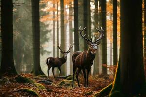 Wild deer in a forest created with generative AI technology. photo