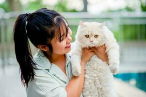 mujer participación gato jugando a hogar con amor para gatos el sonrisa destellos en su enlace con su mullido mascota gato. el relación de personas y gatos, gato dueños, Doméstico gatos, grasa gatos foto