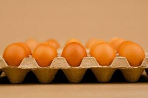 Fresco pollo huevos, pollo huevos en huevo establos alto proteína desayuno, naranja huevos, sano comida y promover bueno salud. foto