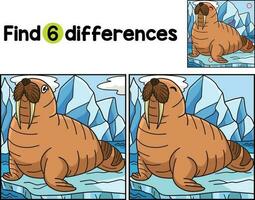 Walrus Animal Find The Differences vector