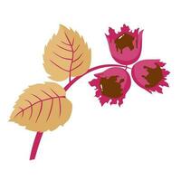 Stylized autumn hazel branch, hazelnut, leaves . vector