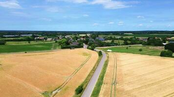 View over a wheat field in good weather found in northern germany. photo