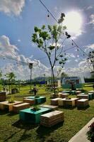 Serene Final Resting Place Under a Cloudy Sky with Trees and Plants. photo