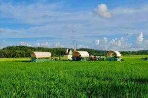 Green field with cereal crop, surrounded by vast grasslands under blue sky. photo