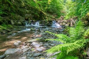 Endert creek, Eifel area, Rhineland-Palatinate, Germany photo