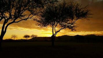 A photo of the sunsetting behind the White Tank Mountains.