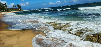 Sunny day on the beach in Hawaii photo