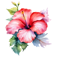 Aquarell Hibiskus Blume, tropisch Hibiskus Blume, Hibiskus Aufkleber, generativ ai. png