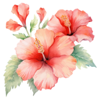 Aquarell Hibiskus Blume, tropisch Hibiskus Blume, Hibiskus Aufkleber, generativ ai. png