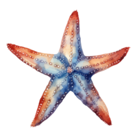 estrella de mar acuarela, mar animales acuarela cuadro, generativo ai. png