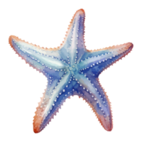 estrella de mar acuarela, mar animales acuarela cuadro, generativo ai. png